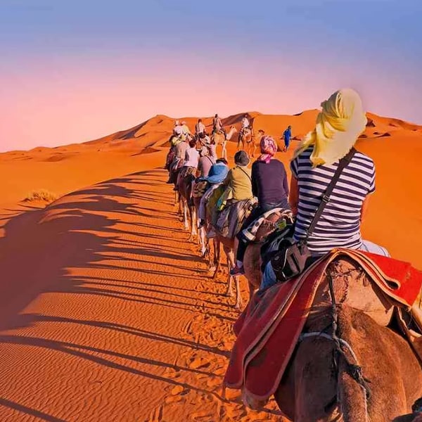 Rajasthan Heritage & Dessert Tour.jpg